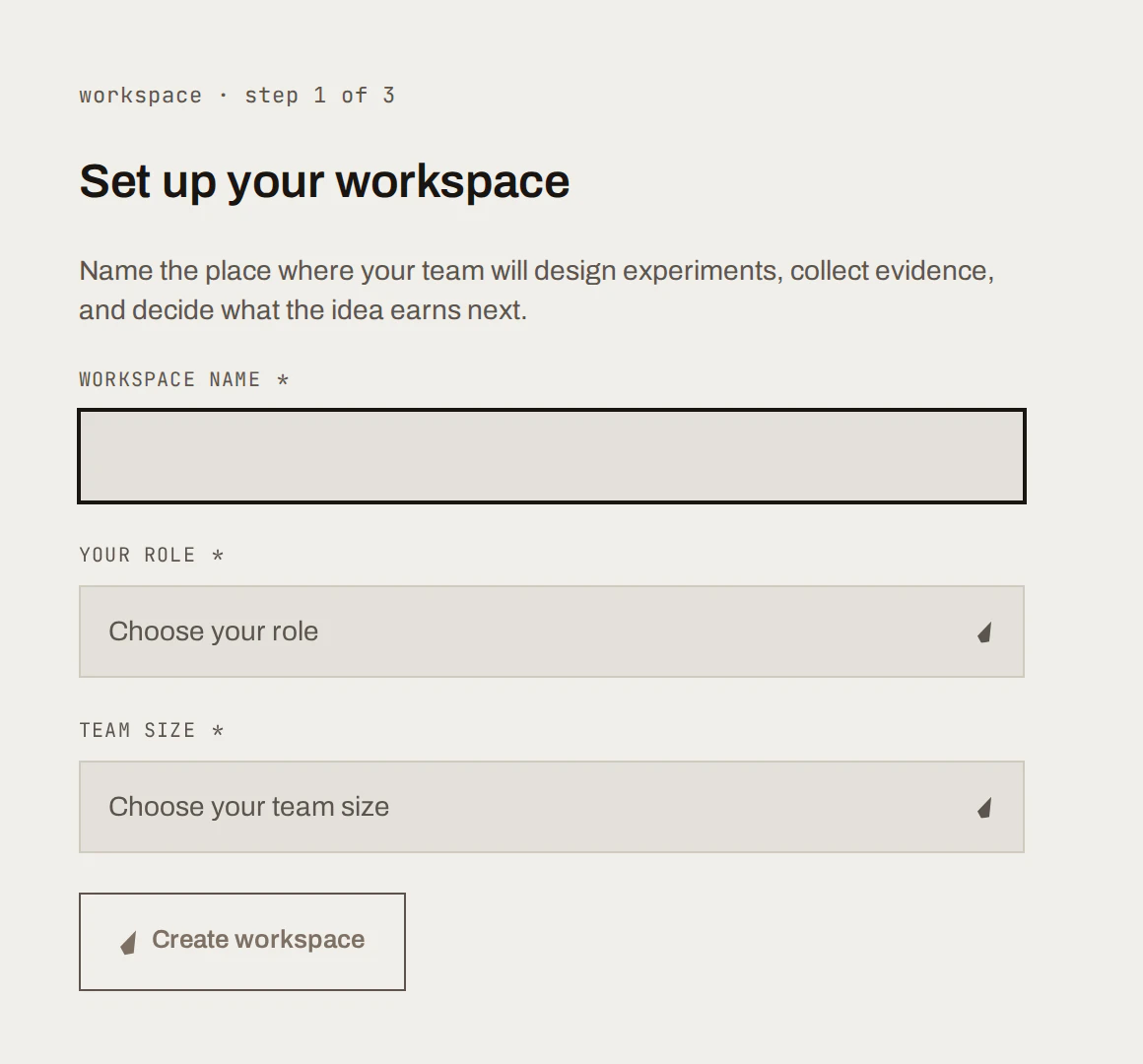 Set up your workspace form with workspace name, role and team size